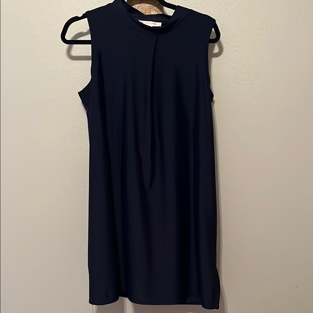 Elegant Jude Connally Navy Sleeveless Dress